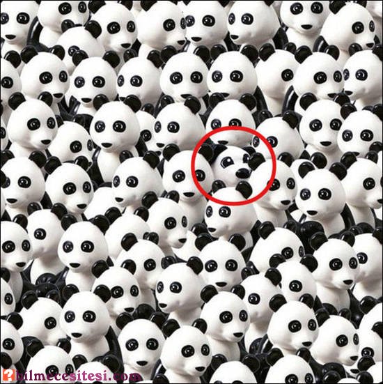 Pandalar arasında saklanmış köpeği bulun?